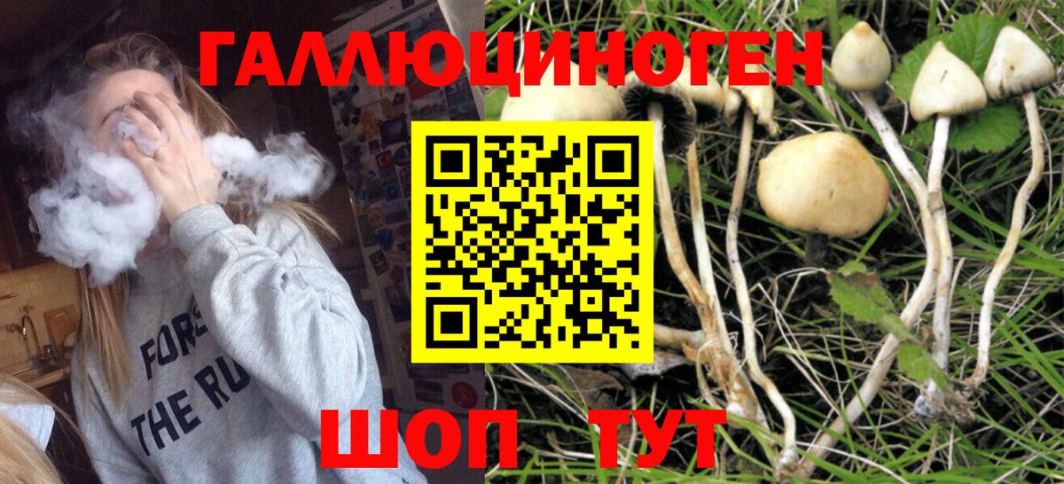 Псилоцибиновые грибы мицелий  Псилоцибиновые грибы ЛСД  купить  сайты  Вход с VPN  Ртищево 